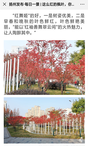 QQ圖片20191221140333_副本.jpg QQ圖片20191221140333_副本.jpg