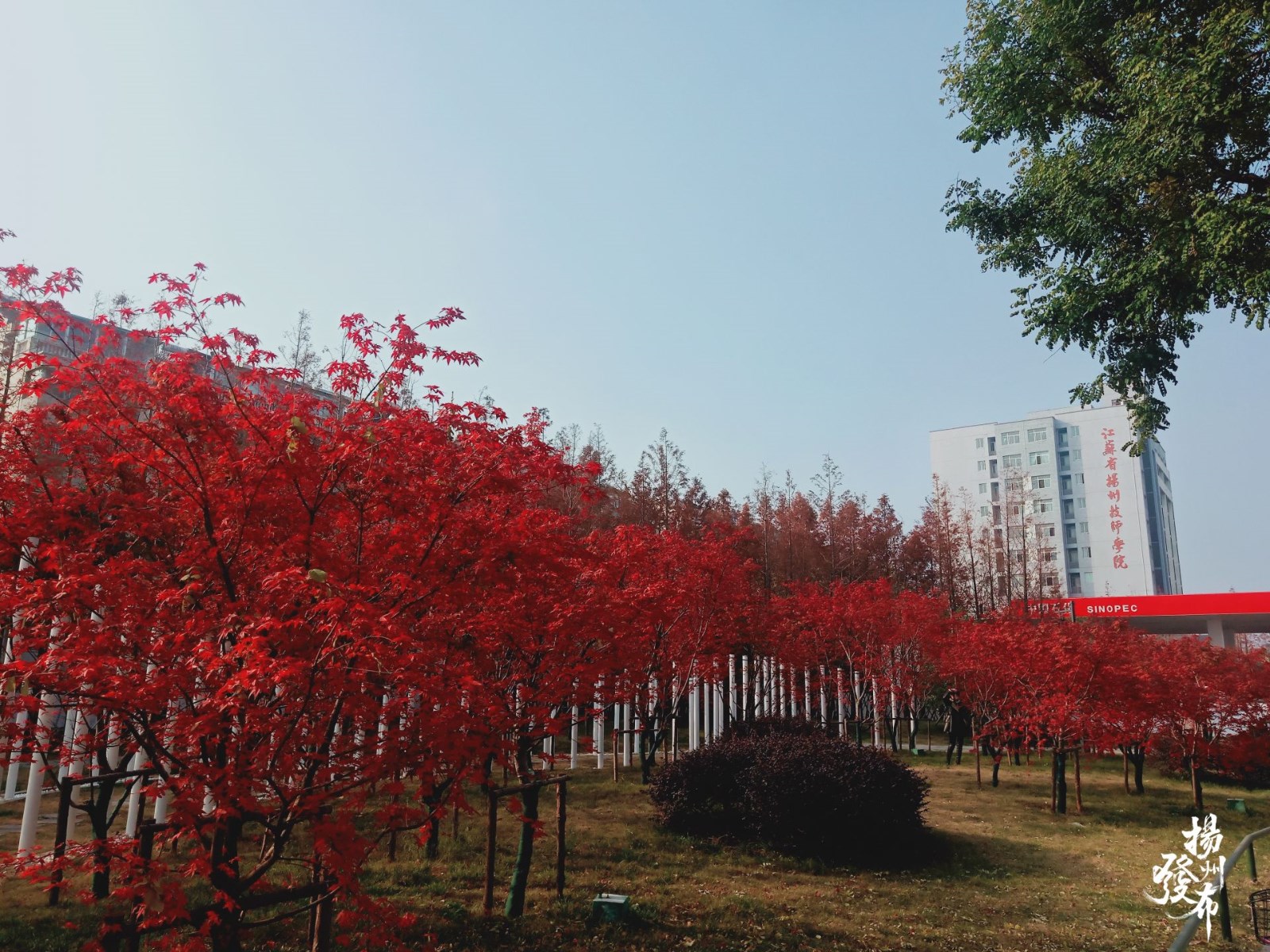 圖片4.jpg 圖片4.jpg