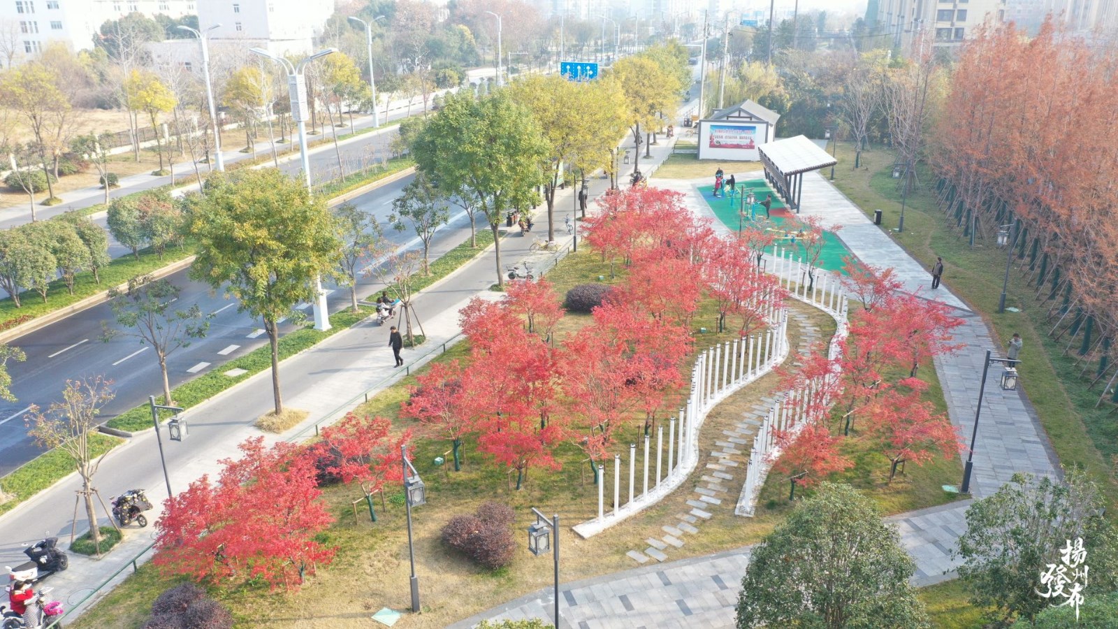 圖片5.jpg 圖片5.jpg