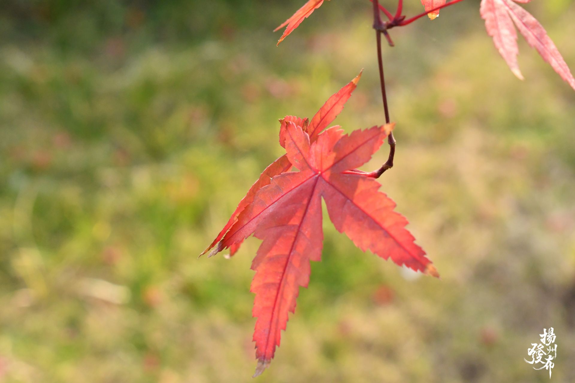 圖片6.jpg 圖片6.jpg